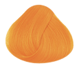 Directions  Hairdye