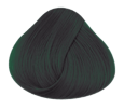 Directions  Hairdye