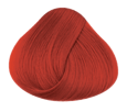 Directions  Hairdye