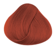 Directions  Hairdye